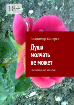 Душа молчать не может. Стихотворные записки