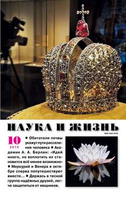 Наука и Жизнь 10-2019