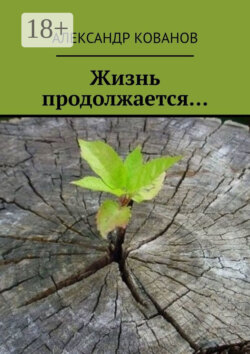 Жизнь продолжается…