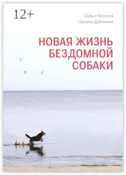 Новая жизнь бездомной собаки