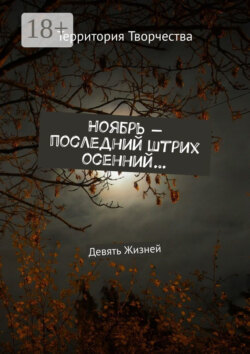 Ноябрь – последний штрих осенний… Девять Жизней