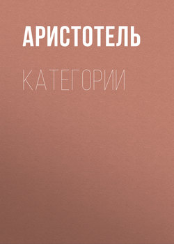 КАТЕГОРИИ