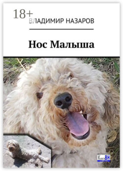 Нос Малыша