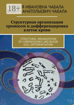 СТРУКТУРНАЯ ОРГАНИЗАЦИЯ ХРОМОСОМ И ДИФФЕРЕНЦИРОВКА КЛЕТОК КРОВИ. STRUCTURAL ORGANIZATION OF CHROMOSOMES AND BLOOD CELL DIFFERENTIATION