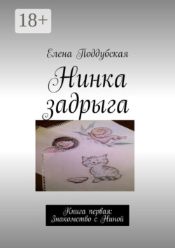 Нинка задрыга. Книга первая: Знакомство с Ниной