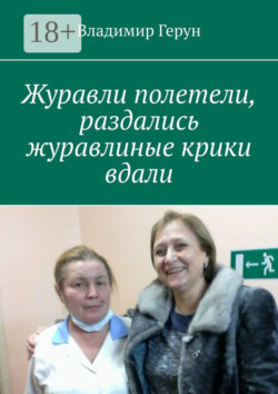 Журавли полетели, раздались журавлиные крики вдали