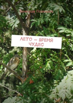 Лето – время чудес