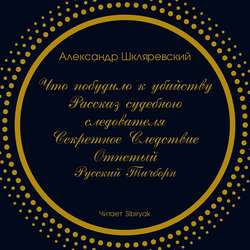 Что побудило к убийству? Рассказ судебного следователя. Секретное следствие (сборник)