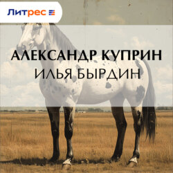 Илья Бырдин