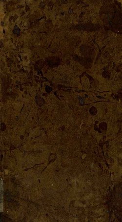 A Voyage to South America: Describing at Large the Spanish Cities, Towns, Provinces, &amp;c. on that Extensive Continent : Vol. II 