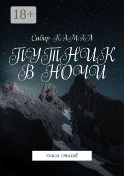 Путник в ночи. Книга стихов