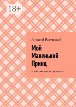 Мой Маленький Принц. И всё-таки они встретились!