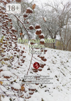 Поэт года – 2020. Ноябрь. Часть 1. Первая онлайн-премия «Поэт года» по версии группы «Территория Творчества» в социальной сети ВКонтакте