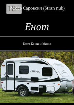 Енот. Енот Кеша и Маша