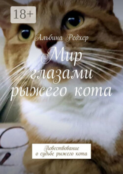 Мир глазами рыжего кота. Повествование о судьбе рыжего кота