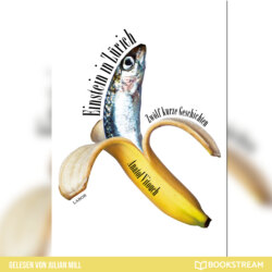 Einstein in Zürich - Zwölf kurze Geschichten (Ungekürzt)