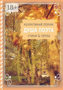 Душа поэта. Стихи & проза