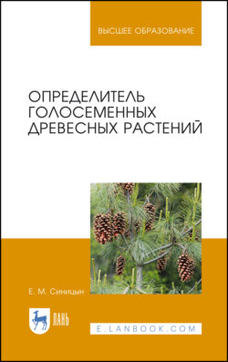 Определитель голосеменных древесных растений