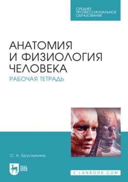 Анатомия и физиология человека. Рабочая тетрадь. Учебное пособие для СПО