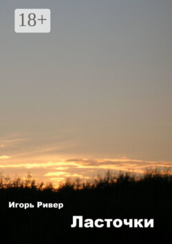 Ласточки. Рассказы о войне