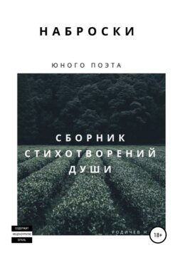 Наброски юного поэта, или Сборник стихотворений души