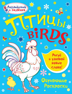 Птицы