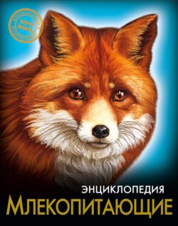 Млекопитающие