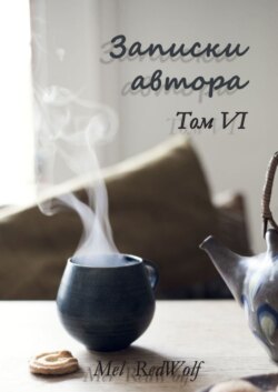 Записки автора. Том VI