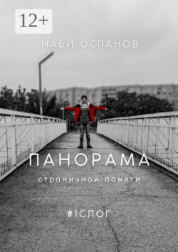 Панорама страничной памяти. #1. Слог