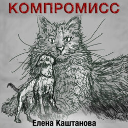Компромисс