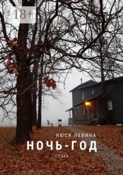 Ночь – год. Стихи