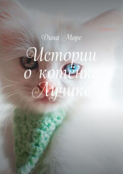 Истории о котёнке Лучике