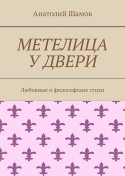 Метелица у двери. Любовная и философская лирика