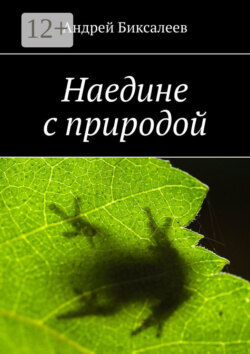 Наедине с природой