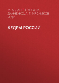 Кедры России