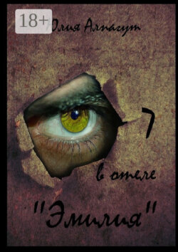 7 в отеле «Эмилия»