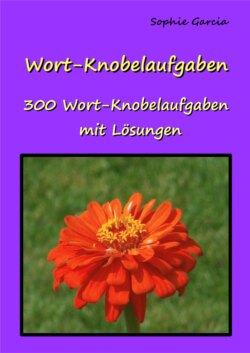 Wort-Knobelaufgaben