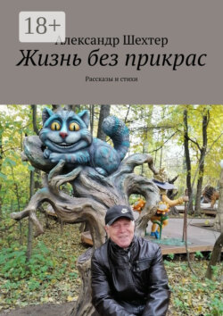 Жизнь без прикрас. Рассказы и стихи