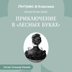 Приключение в «Лесных Буках»