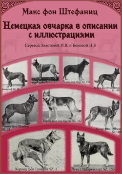 Немецкая овчарка в описании с иллюстрациями. Часть I из III: Овчарки и пастушьи собаки, их происхождение и родство