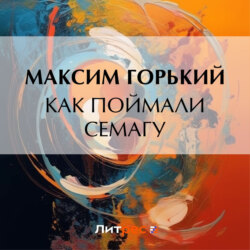 Как поймали Семагу