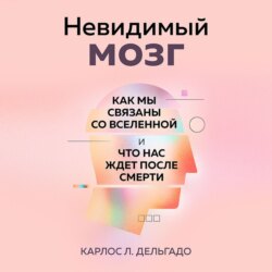 Невидимый мозг. Как мы связаны со Вселенной и что нас ждет после смерти