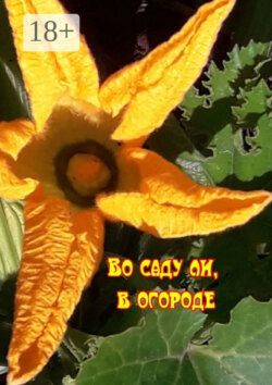 Во саду ли, в огороде