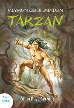Meymun qəbiləsindən Tarzan 1