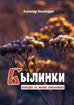 Былинки. Истории из жизни священника