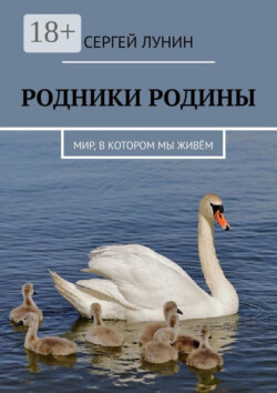 Родники Родины. Мир, в котором мы живём