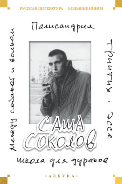 Школа для дураков. Между собакой и волком. Палисандрия. Эссе. Триптих