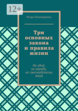 Три основных закона и правила жизни. Не убий, не укради, не лжесвидетельствуй