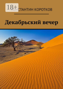 Декабрьский вечер