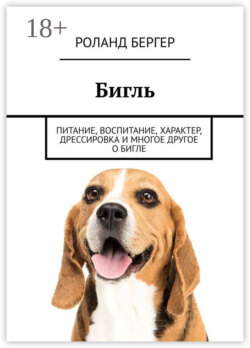 Бигль. Питание, воспитание, характер, дрессировка и многое другое о бигле